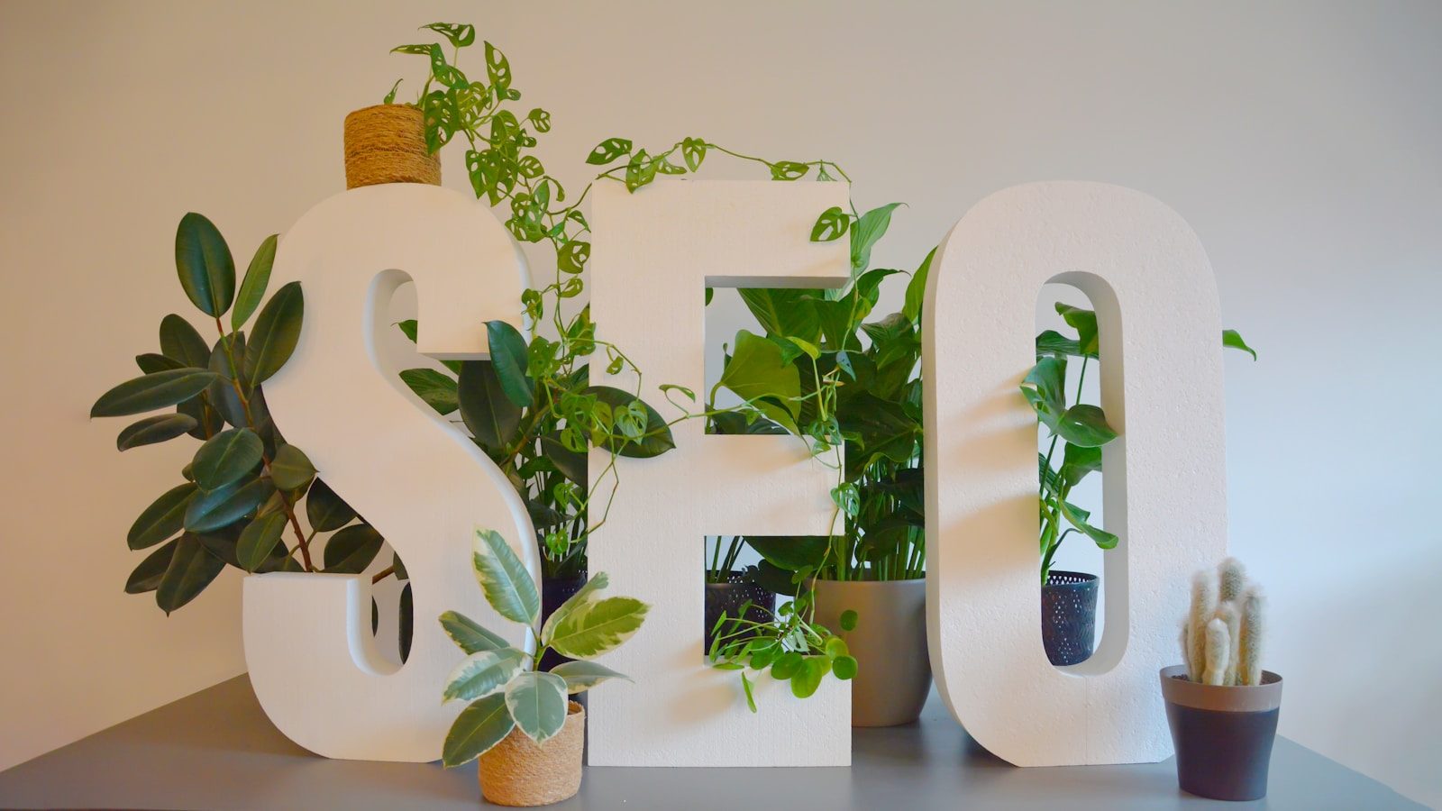 a white sign with plants and a potted plant next to it {{brizy_dc_image_alt imageSrc=